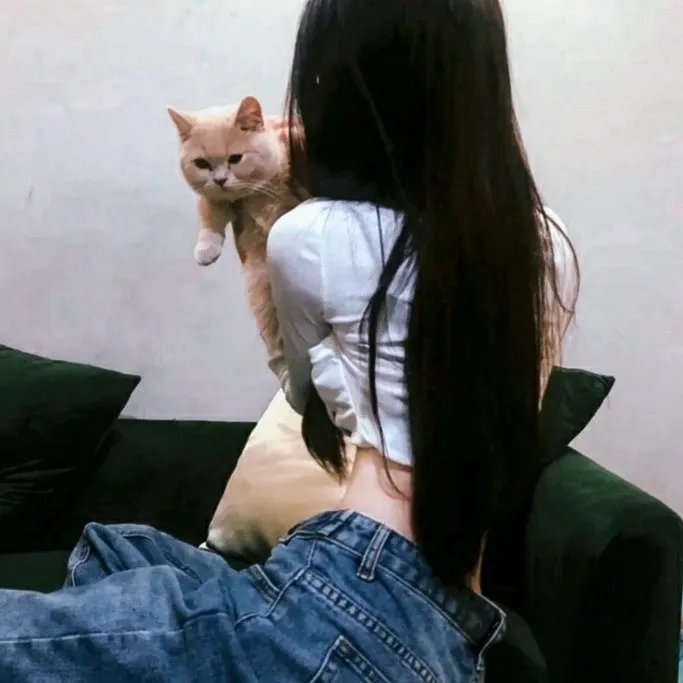 当家小娘子
